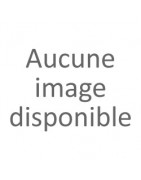 LES LEURRES PRÉDATEURS